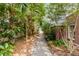 Landscaped walkway leading to the beach with lush greenery and palm trees at 1429 Burningtree Rd, Charleston, SC 29412