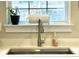 Close-up of a kitchen sink area with soap, a plant and a view to the backyard at 1545 Ashley River Rd # 3K, Charleston, SC 29407