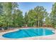 An inviting community pool, complete with lounge chairs, offers residents a relaxing outdoor retreat at 1918 Essex Farms Dr, Charleston, SC 29414