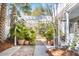 Outdoor patio with pergola and tropical plants at 36 Bogard St, Charleston, SC 29403