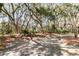Picturesque yard featuring lush foliage and tall mature trees, evoking a sense of tranquility at 4983 Sound View Dr, Mount Pleasant, SC 29466