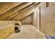View of unfinished attic space featuring insulation along the walls and ceiling at 6294 Highway 165, Ravenel, SC 29470