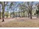 Expansive backyard with mature trees, offering shade and a serene natural setting with firepit at 6294 Highway 165, Ravenel, SC 29470