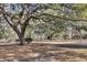 Extensive backyard featuring mature trees, shed, and lots of room to relax and enjoy at 6294 Highway 165, Ravenel, SC 29470