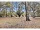 Large, leaf-covered backyard with mature trees, offering a natural and tranquil environment at 6294 Highway 165, Ravenel, SC 29470