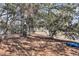 View of the peaceful, wooded backyard with lake access and a kayak at 6294 Highway 165, Ravenel, SC 29470