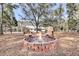 Home boasts backyard firepit and chairs to enjoy beautiful nature views at 6294 Highway 165, Ravenel, SC 29470