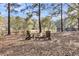 Wooded lot with a lake view, firepit, chairs, and shade trees at 6294 Highway 165, Ravenel, SC 29470