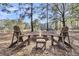 Enjoy backyard firepit with chairs offering picturesque lake and nature views at 6294 Highway 165, Ravenel, SC 29470