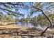 Scenic view of the lake showcasing mature trees and grass shoreline at 6294 Highway 165, Ravenel, SC 29470