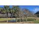 Picturesque pond with fountain, framed by palm trees and lush foliage under a bright blue sky at 7646 Kinston St, North Charleston, SC 29418