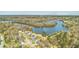 An aerial view of a neighborhood on a lake, showing its proximity to nature at 131 Londonderry Rd, Goose Creek, SC 29445