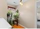 Bright hallway with hardwood floors and multiple plants near the window at 186 Jupiter Ln, Summerville, SC 29483