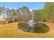 Picturesque pond featuring a fountain, surrounded by lush greenery and mature trees at 186 Jupiter Ln, Summerville, SC 29483