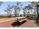 Charming picnic table nestled in a wooded area with waterfront views, offering a serene outdoor experience at 215 Fell Pt, Daniel Island, SC 29492