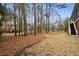 Expansive backyard with mature trees and a view of the home's exterior at 2217 Beckenham Dr, Mount Pleasant, SC 29466