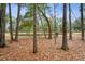 Wooded backyard view featuring a pond beyond the trees, perfect for nature lovers at 2217 Beckenham Dr, Mount Pleasant, SC 29466