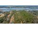 An aerial view that shows the property nestled within a sprawling wooded lot with lush trees at 3970 Betsy Kerrison Pkwy, Johns Island, SC 29455