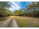 Long driveway leading through a grassy field surrounded by trees under a partly cloudy blue sky at 3970 Betsy Kerrison Pkwy, Johns Island, SC 29455
