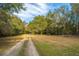 Picturesque tree-lined driveway with a lush grass yard creates a welcoming landscape at 3970 Betsy Kerrison Pkwy, Johns Island, SC 29455