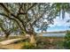 Scenic view from the property with a sprawling tree and marsh views, complemented by a wooden walkway at 3970 Betsy Kerrison Pkwy, Johns Island, SC 29455