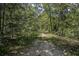 Scenic walking trail through lush greenery and trees invites outdoor exploration at 544 Beverly Dr, Summerville, SC 29485