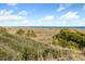 Scenic beach view with lush greenery and a boardwalk leading to the ocean at 65 Surfsong Rd, Kiawah Island, SC 29455