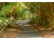 Natural path with lush greenery, creating a serene and inviting atmosphere at 65 Surfsong Rd, Kiawah Island, SC 29455