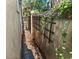 Side entrance with narrow brick walkway and climbing vines on the adjacent wall at 7 West St # C, Charleston, SC 29401