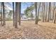 Spacious fenced backyard with mature trees, offering privacy and plenty of room for outdoor activities at 8656 Laurel Grove Ln, North Charleston, SC 29420
