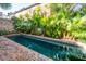 Backyard pool featuring brick patio and palm tree landscaping at 11 Church St, Charleston, SC 29401