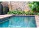 Close-up of in-ground pool with brick surround, framed by foliage and a brick wall at 11 Church St, Charleston, SC 29401