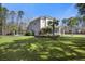 Expansive backyard featuring lush green grass and mature palm trees, ideal for outdoor activities at 144 Clark Ln, Summerville, SC 29483
