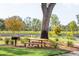 Picnic area with a wooden table, grill, and mature tree at 1738 Cultivation Ln # 532, Mount Pleasant, SC 29466