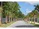 Palm tree lined street at 1738 Cultivation Ln # 532, Mount Pleasant, SC 29466