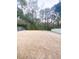 Expansive backyard with lush greenery, offering ample space for outdoor activities and relaxation at 2117 Colson Ln, Johns Island, SC 29455
