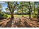 Picturesque backyard featuring beautiful grass, mature trees, and a serene, nature-filled setting at 385 Green Winged Teal Rd, Kiawah Island, SC 29455