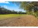 Picturesque backyard featuring beautiful grass, mature trees, and a serene, nature-filled setting at 385 Green Winged Teal Rd, Kiawah Island, SC 29455