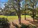 Picturesque backyard view of lush greenery and mature trees, creating a serene outdoor space at 385 Green Winged Teal Rd, Kiawah Island, SC 29455
