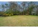 Lush backyard with a variety of trees and shrubs, with an old brick bar-b-q pit creating a private outdoor space at 1024 Locksley Dr, Charleston, SC 29407