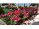 Picturesque front yard featuring vibrant pink roses with tranquil lake in the background at 105 Goose Creek Dr, Goose Creek, SC 29445