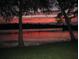 Scenic lake view at sunset reflecting colors onto water between silhouetted trees at 105 Goose Creek Dr, Goose Creek, SC 29445