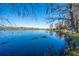 Picturesque water view of a tranquil lake with an array of trees, creating a peaceful and scenic setting at 105 Goose Creek Dr, Goose Creek, SC 29445