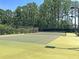 Exterior shot of the community tennis court surrounded by lush trees at 1556 Cranes Nest Rd, Mount Pleasant, SC 29466