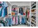 Organized walk-in closet features shelving and ample storage space for clothing, shoes, and accessories at 1556 Cranes Nest Rd, Mount Pleasant, SC 29466