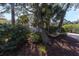 Relaxing backyard setting with a hammock strung between trees, offering a tranquil space to unwind and enjoy the outdoors at 1648 Home Farm Rd, Mount Pleasant, SC 29464