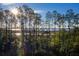 Scenic marsh view through a dense forest, with sunlight creating a beautiful natural backdrop at 1742 Cultivation Ln # 531, Mount Pleasant, SC 29466