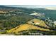 Expansive aerial view of neighborhood landscape including horse fields and wooded acreage at 2119 Landfall Way, Seabrook Island, SC 29455