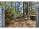 A partially fenced backyard with some trees and underbrush at 2362 Parsonage Rd # 17G, Charleston, SC 29414