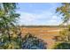 Picturesque marsh view framed by lush greenery, with industrial cranes visible in the distance at 26 Saturday Rd, Mount Pleasant, SC 29464